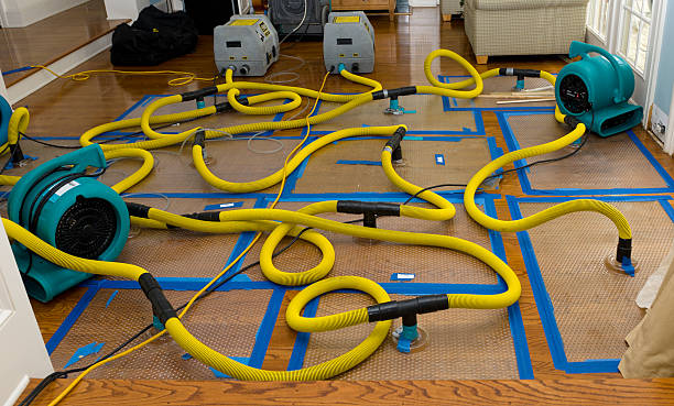 Professional Water Damage Restoration technician working in Roxana, IL